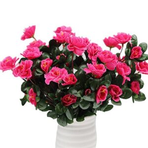 أزاليا (Azalea)