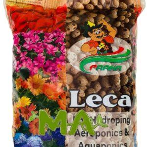 حجر البركاني